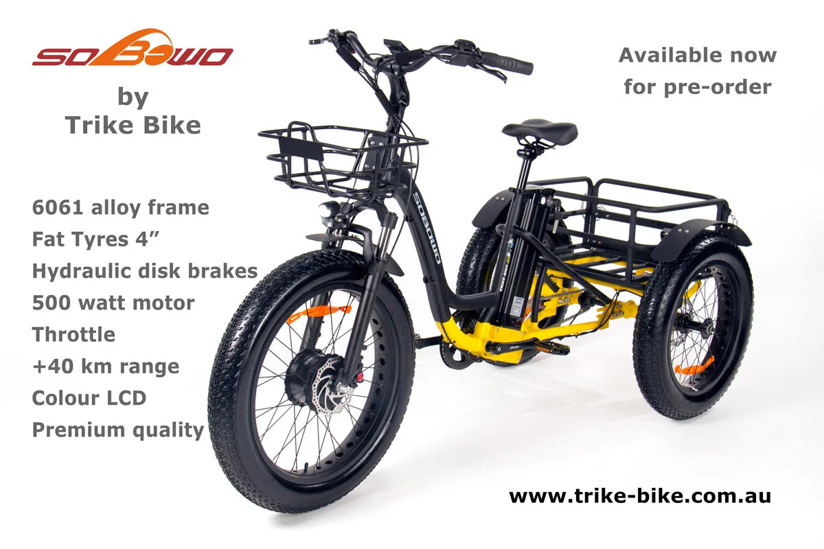 2024 24" Fat Trike Bike 48V 15Ah including