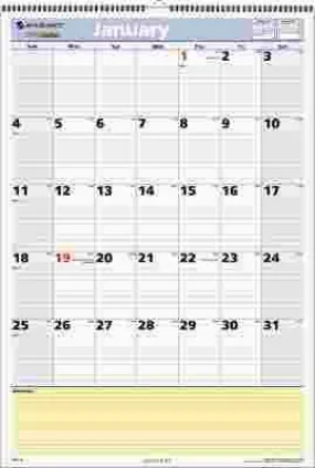 At-A-Glance Quicknotes Monthly Wall Calendar 13 Month January-January 15-1/2 X 22-3/4