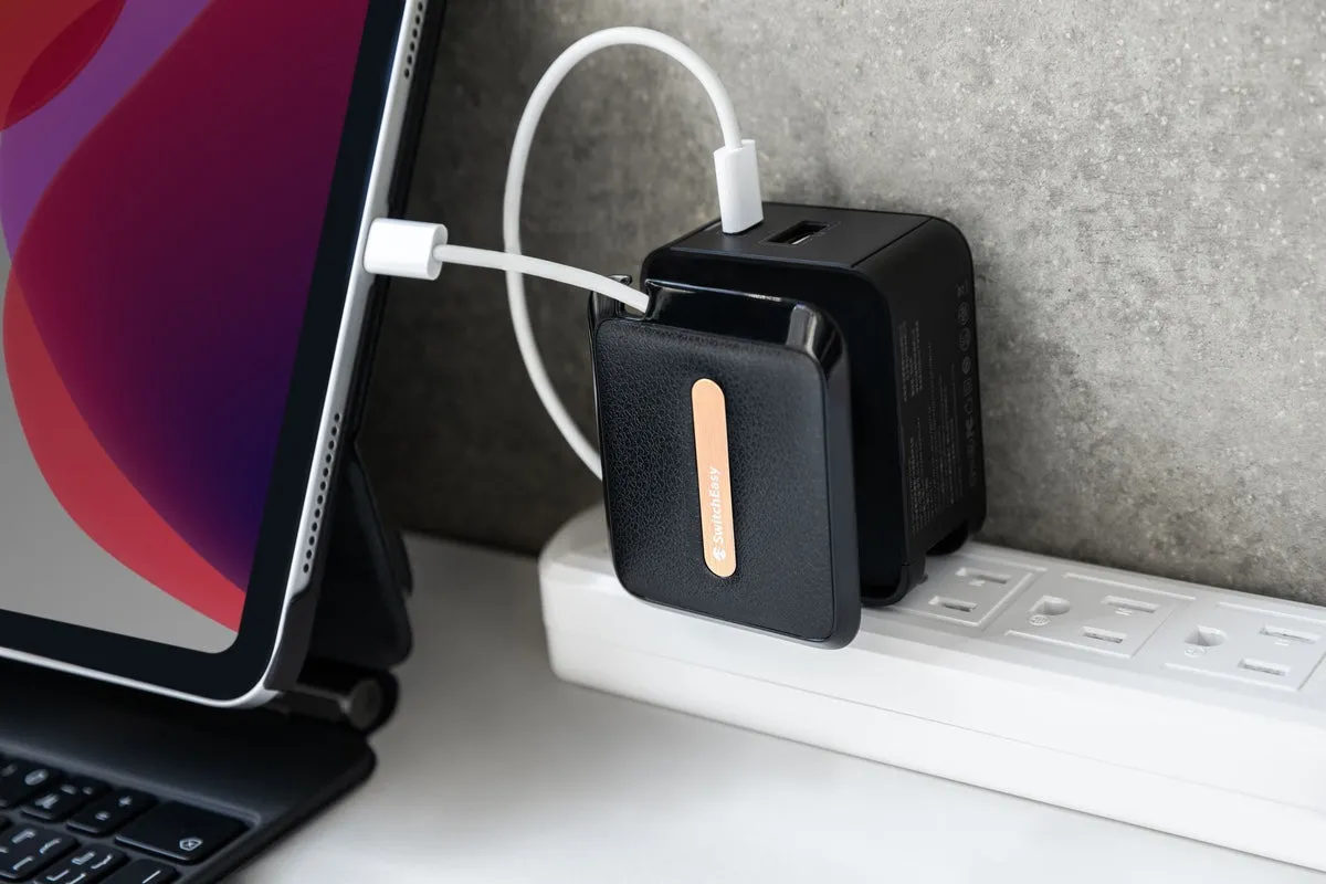 SwitchEasy PowerBuddy 30W Wall Charger With Cable Storage